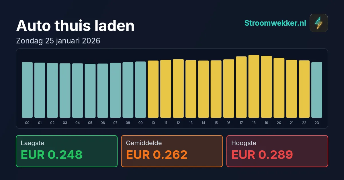 Prijsgrafiek voor zondag 25 januari 2026
