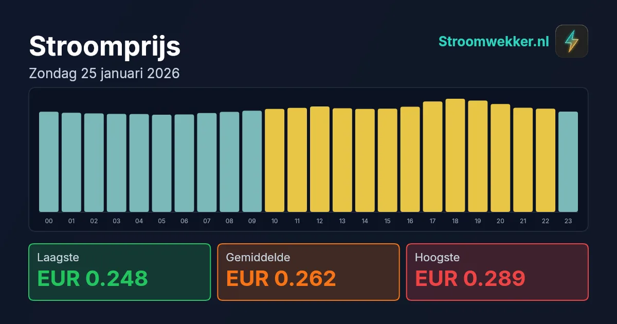 Prijsgrafiek voor zondag 25 januari 2026